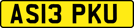 AS13PKU
