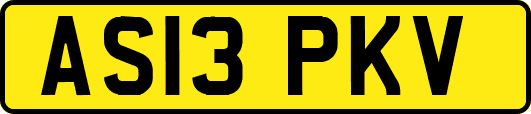 AS13PKV