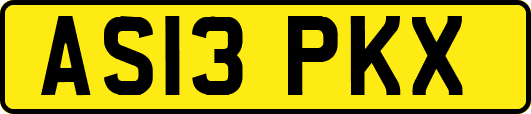 AS13PKX