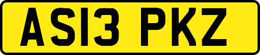 AS13PKZ