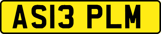 AS13PLM