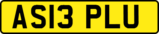 AS13PLU