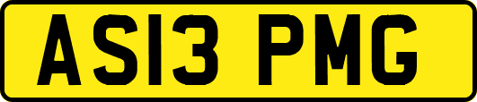 AS13PMG