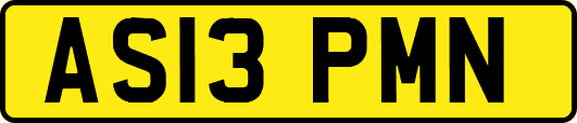AS13PMN