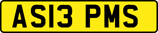 AS13PMS