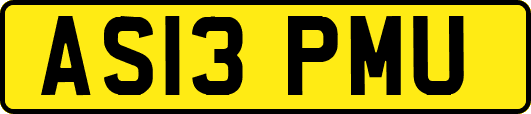 AS13PMU