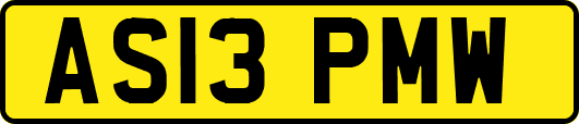 AS13PMW