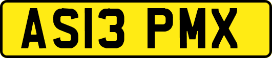 AS13PMX