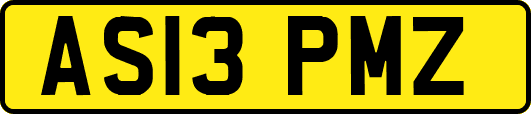AS13PMZ