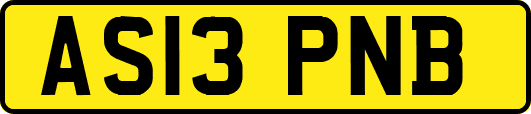 AS13PNB