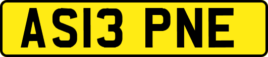 AS13PNE