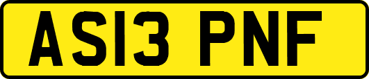 AS13PNF