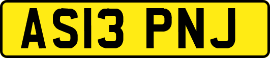 AS13PNJ