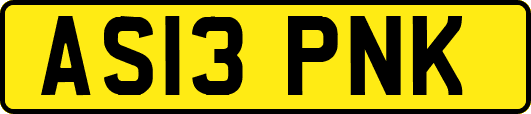 AS13PNK