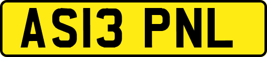 AS13PNL