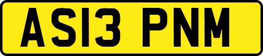 AS13PNM