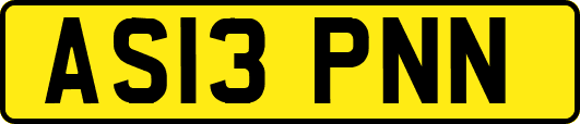 AS13PNN
