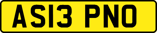 AS13PNO