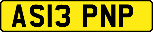 AS13PNP