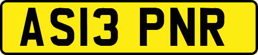 AS13PNR