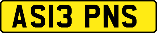 AS13PNS