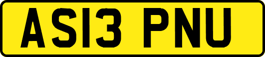 AS13PNU