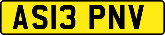 AS13PNV