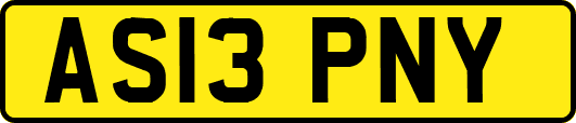 AS13PNY