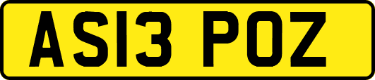 AS13POZ