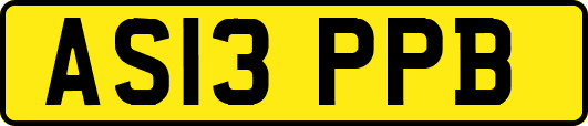AS13PPB