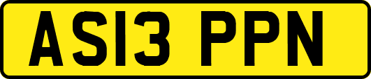 AS13PPN