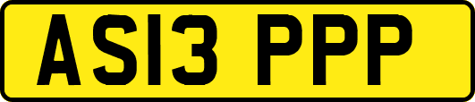 AS13PPP