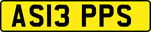 AS13PPS