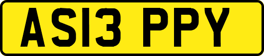 AS13PPY