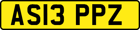 AS13PPZ
