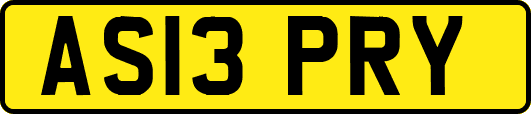 AS13PRY