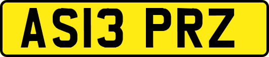 AS13PRZ