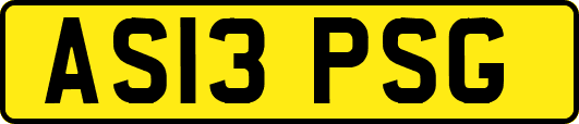 AS13PSG