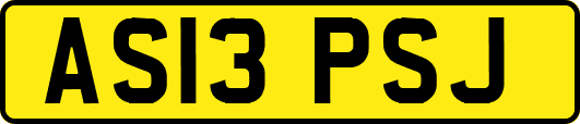 AS13PSJ