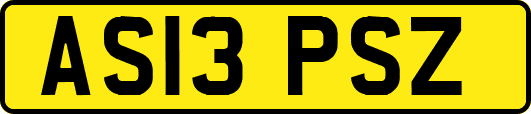 AS13PSZ