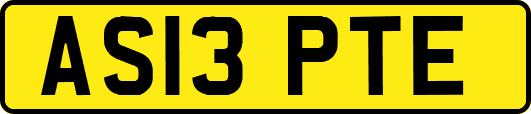 AS13PTE
