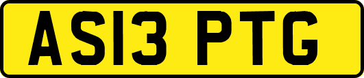 AS13PTG