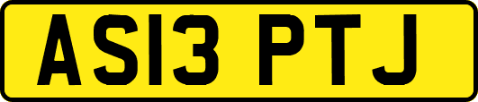 AS13PTJ