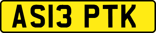 AS13PTK