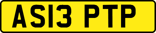 AS13PTP
