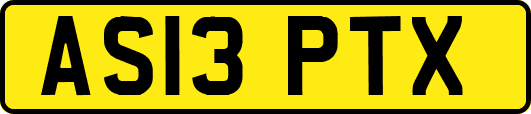AS13PTX