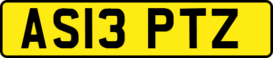 AS13PTZ