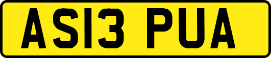 AS13PUA