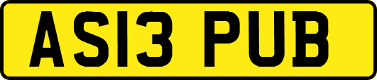 AS13PUB
