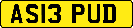 AS13PUD